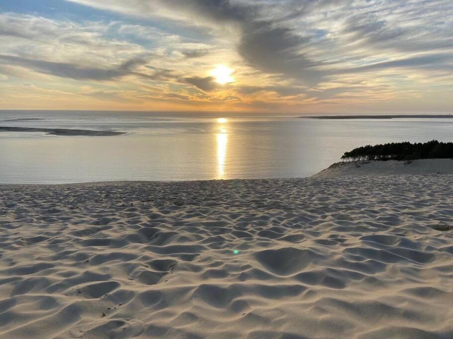 Villa Arcachon 12 Pers Avec Piscine Chauffee 1 Mai Au 30 Sept Exterior foto